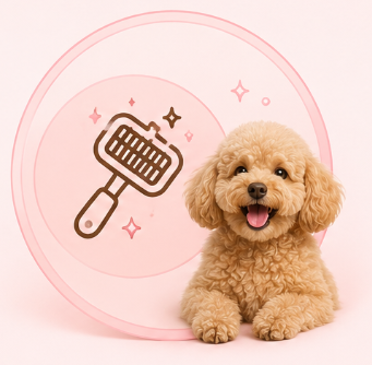 Cleaning & Grooming